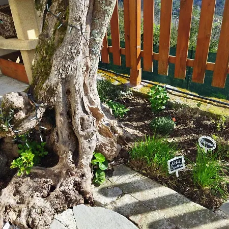 Amphiorama La Spezia